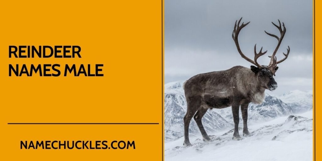 Reindeer Names Male