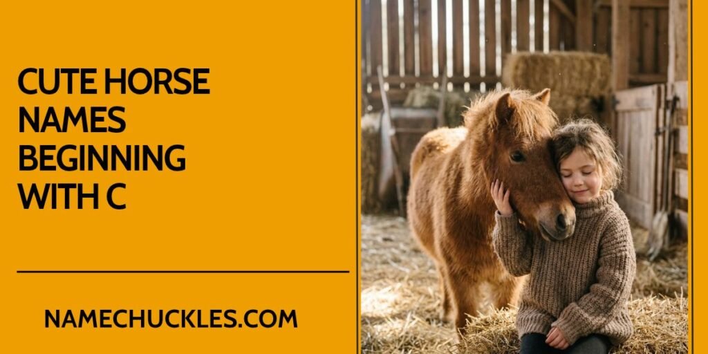 Cute Horse Names Beginning with C