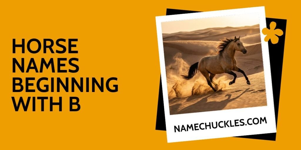 Horse Names Beginning with B