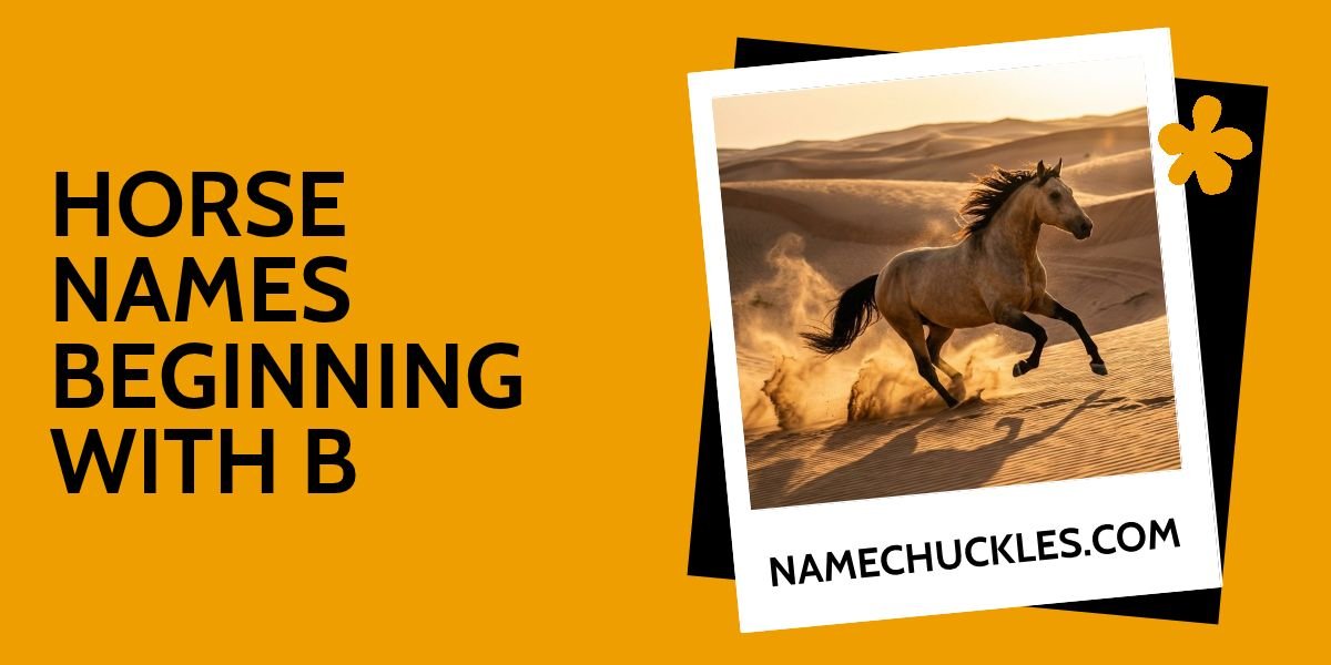 Horse Names Beginning with B
