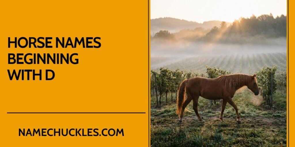 Horse Names Beginning with D