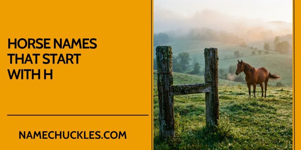 Horse Names That Start with H