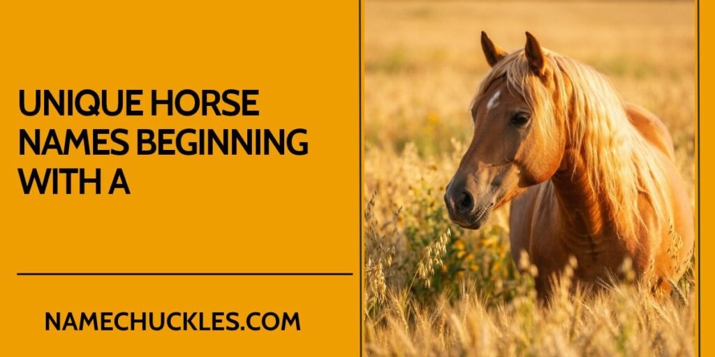 Unique Horse Names Beginning with A